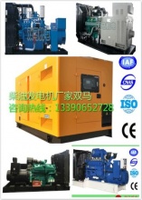 双马机电柴油发电机厂家可以做的柴油发电机组品牌系列有哪些? - 行业