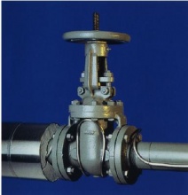 進口電伴熱,電伴熱系統-上海仕頂工業設備有限公司