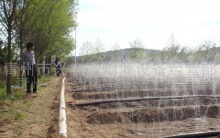 臨沂玉米打藥機_廠家_價格_供應_生產商_銷售-青州興農節水灌溉設備有