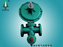 rtz-50/0.6bq燃气调压器|百方以上减压阀_润丰燃气设备