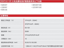 dz47le-125大电流漏电保护断路器-终端配电产品-广州骏雅机电设备有限
